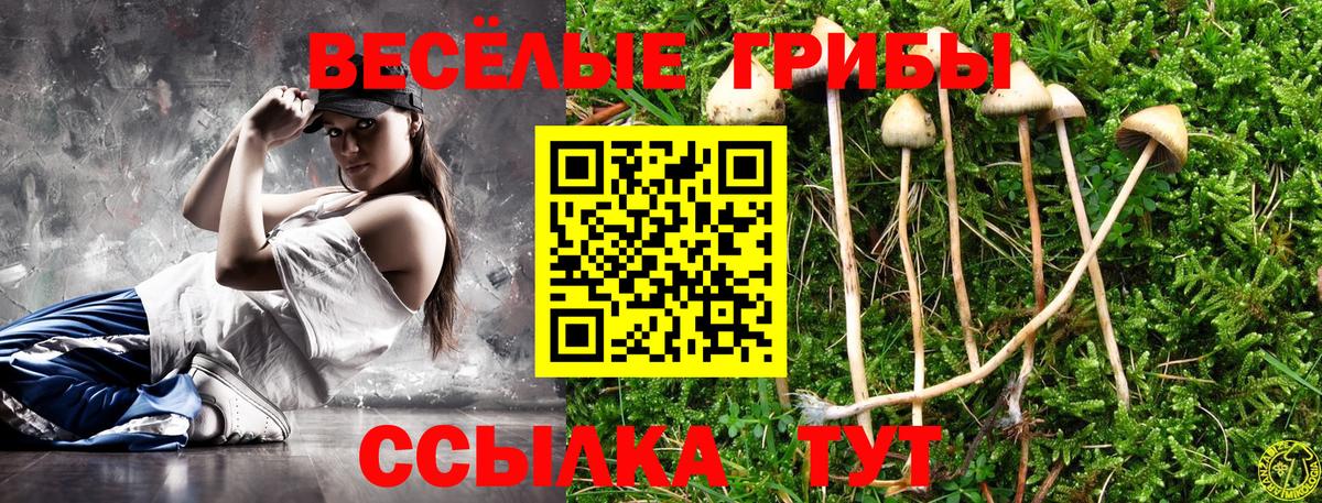 Галлюциногенные грибы MAGIC MUSHROOMS Тавда