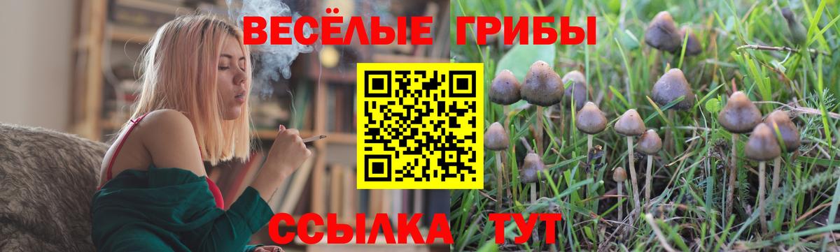 Псилоцибиновые грибы Cubensis  Псилоцибиновые грибы мицелий  Вход с VPN  Тавда 